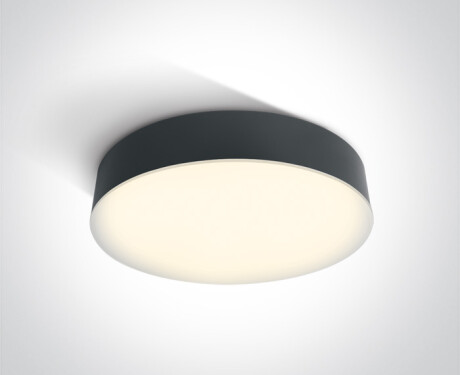 PASIO Ceiling Light 30W 3000K IP54 White