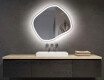 Irregular Mirror LED Lighted decorative design R222